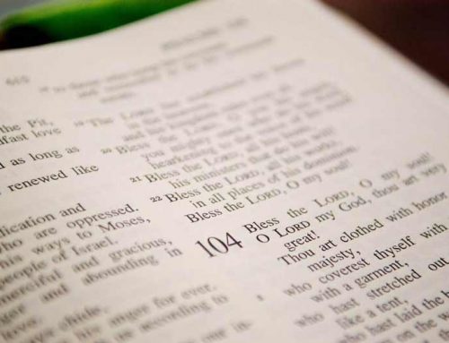 Women of the Word (WOW) Bible Study Group